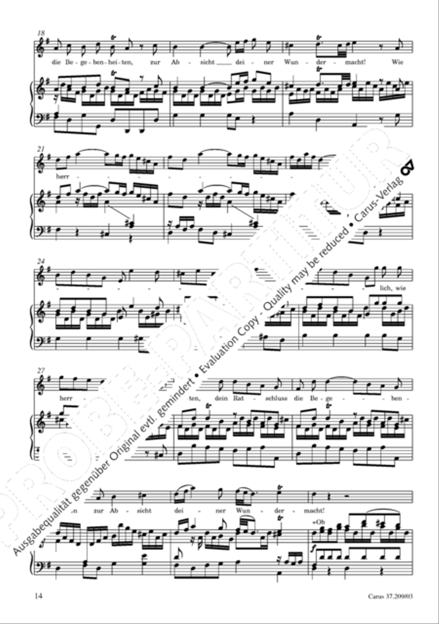 For us a child is born (Uns ist ein Kind geboren) STB scores gallery preview page 15