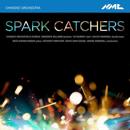 Chineke! Orchestra: Spark Catchers