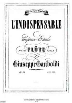 Book cover for L'indispensable