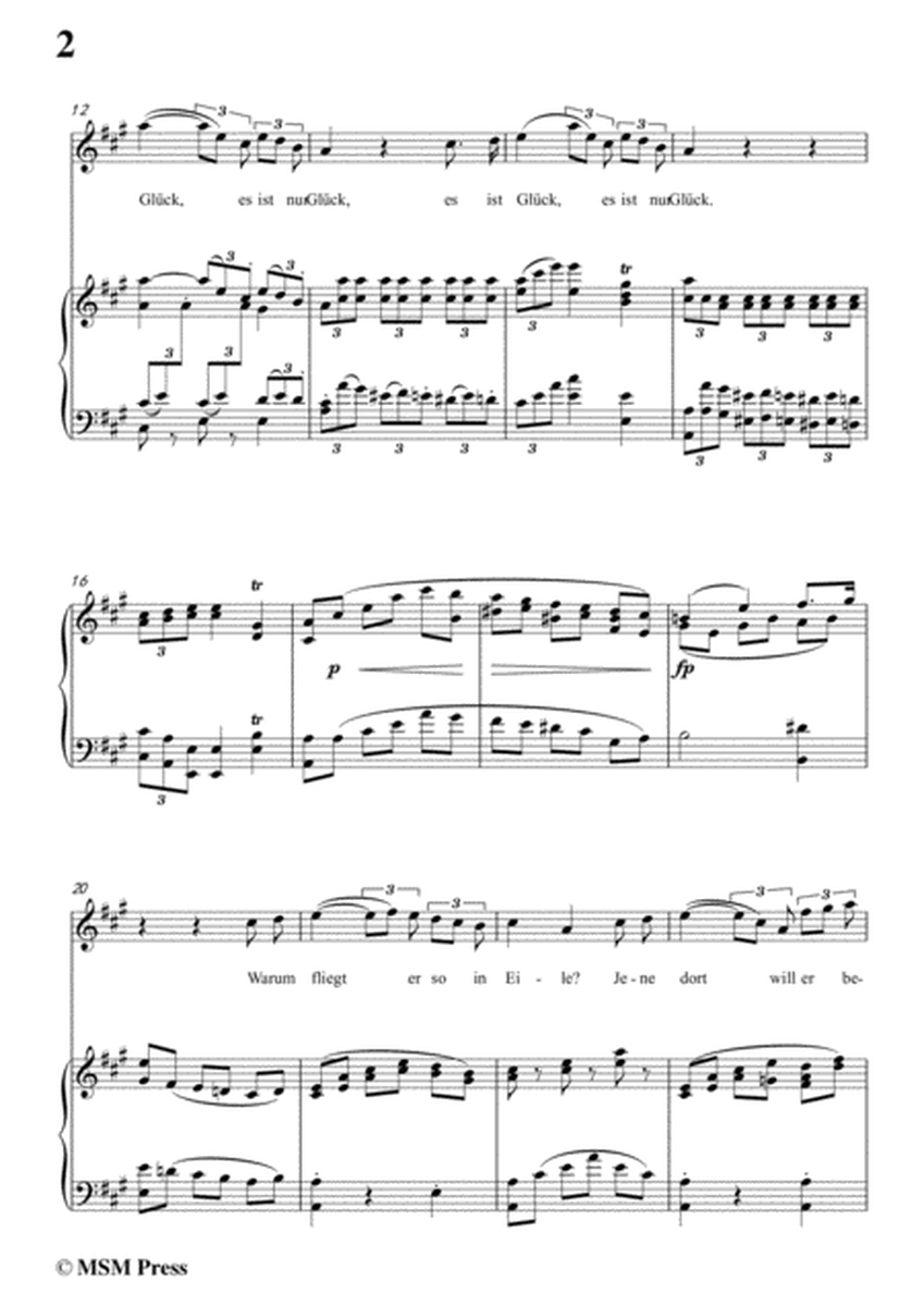 Schubert-Hin und wieder fliegen Pfeile,in A Major,for Voice&Piano image number null
