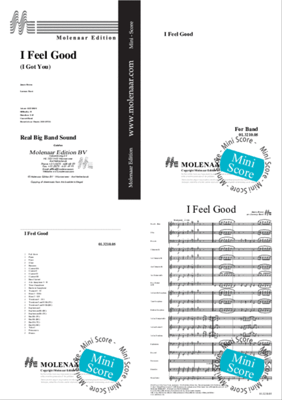 I Feel Good (I Got You) I Feel Good (I Got You) Concert Band scores gallery preview page 2