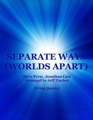 Book cover for Separate Ways (worlds Apart)