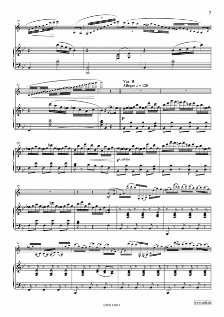 Variations On The Tyrolienne Clarinet Solo scores gallery preview page 7