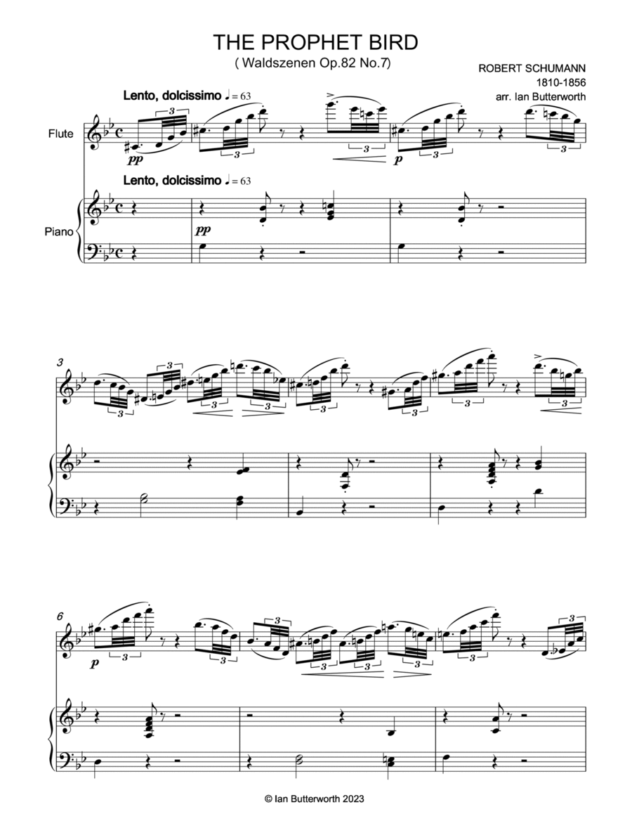 SCHUMANN The Prophet Bird for flute & piano Flute Solo scores gallery preview page 1