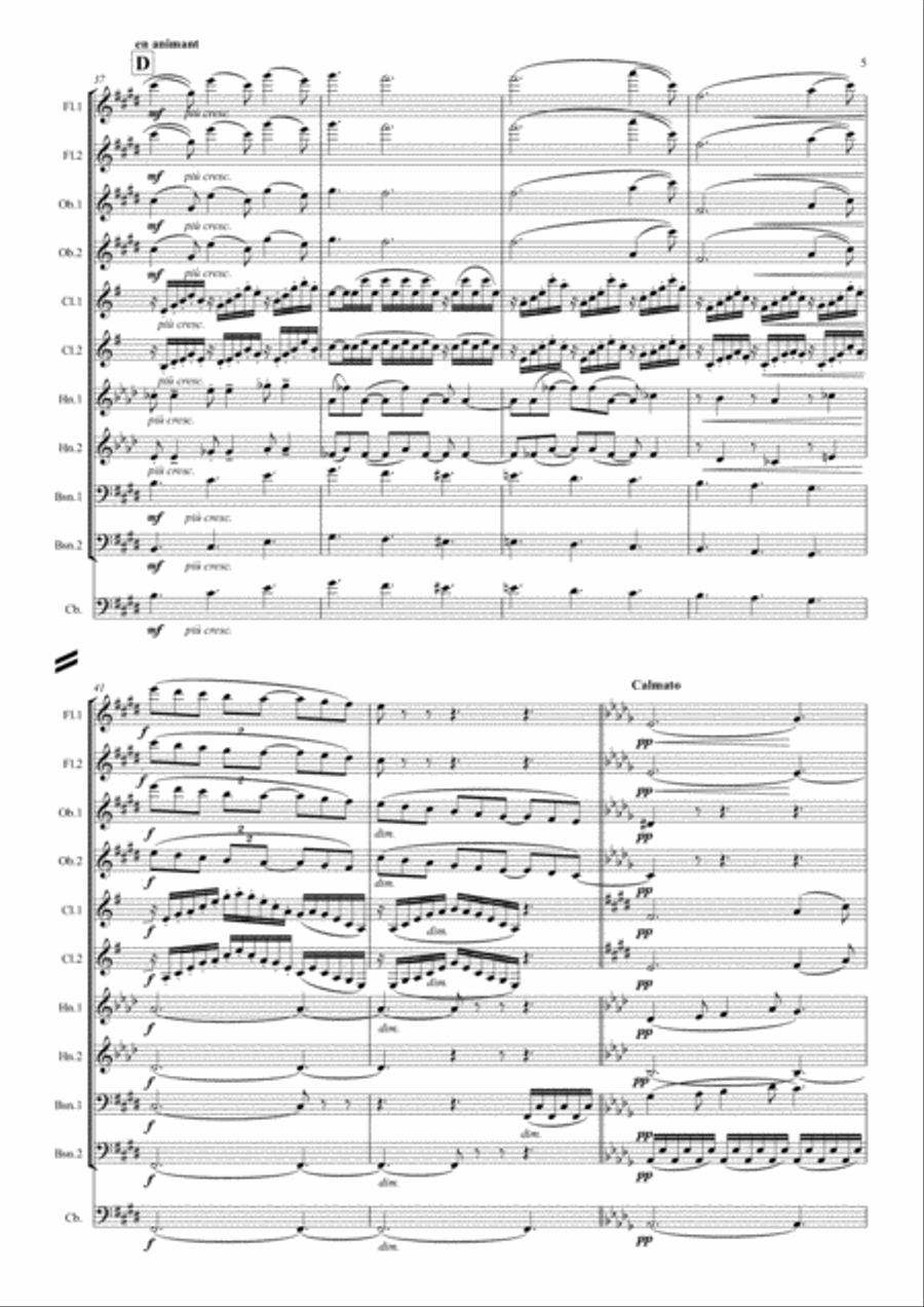 Debussy: Suite Bergamasque Mvt.3 Clair de Lune - wind dectet (& bass) School and Community scores gallery preview page 5
