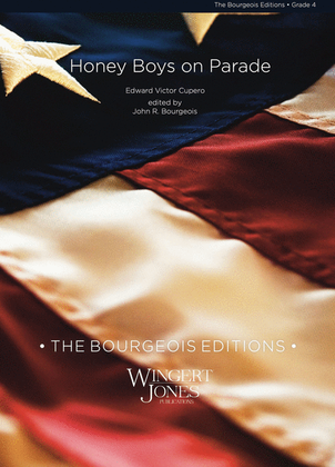 Book cover for Honey Boys On Parade