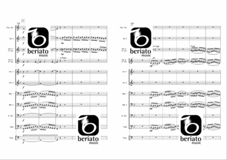 Le Nozze Di Figaro Percussion scores gallery preview page 14