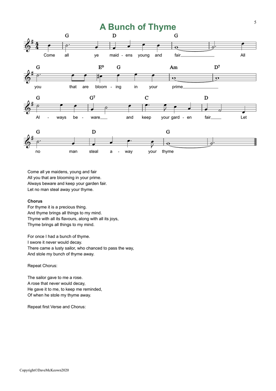 24 Favourite Songs of Ireland, for Tin Whistle Tin Whistle scores gallery preview page 5