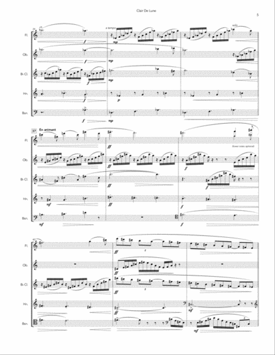 Clair de Lune for Woodwind Quintet Woodwind Quintet scores gallery preview page 5