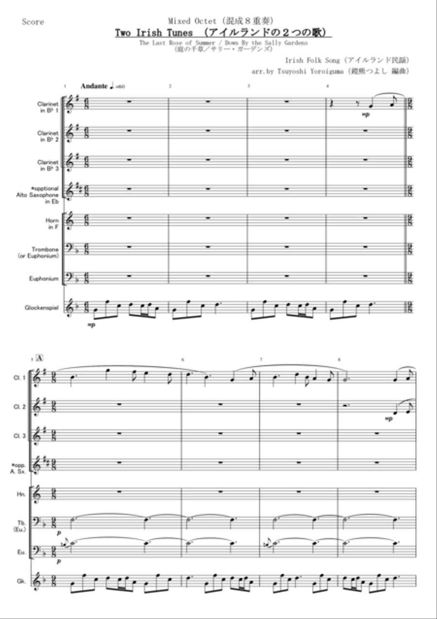 Two Irish Tunes (for Mixed Octet) Percussion Ensemble scores gallery preview page 1