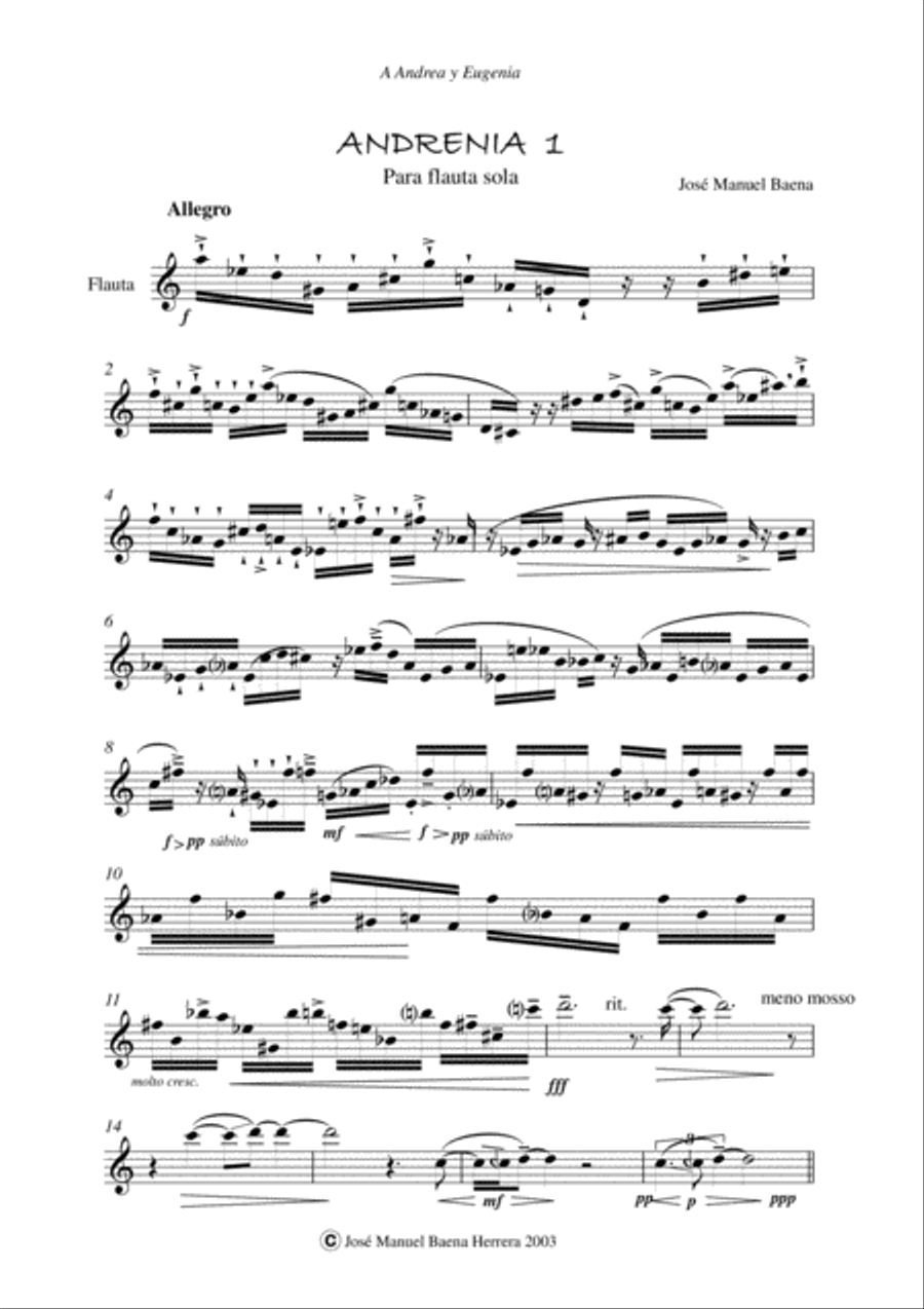 Andrenia Andrenia Flute Solo scores gallery preview page 1
