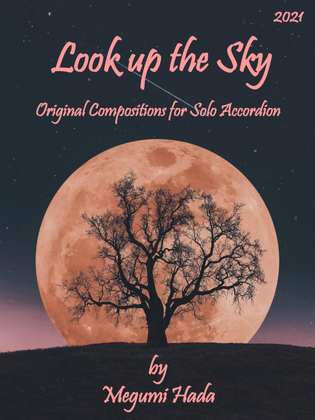Look up at the Sky (Accordion Solo)