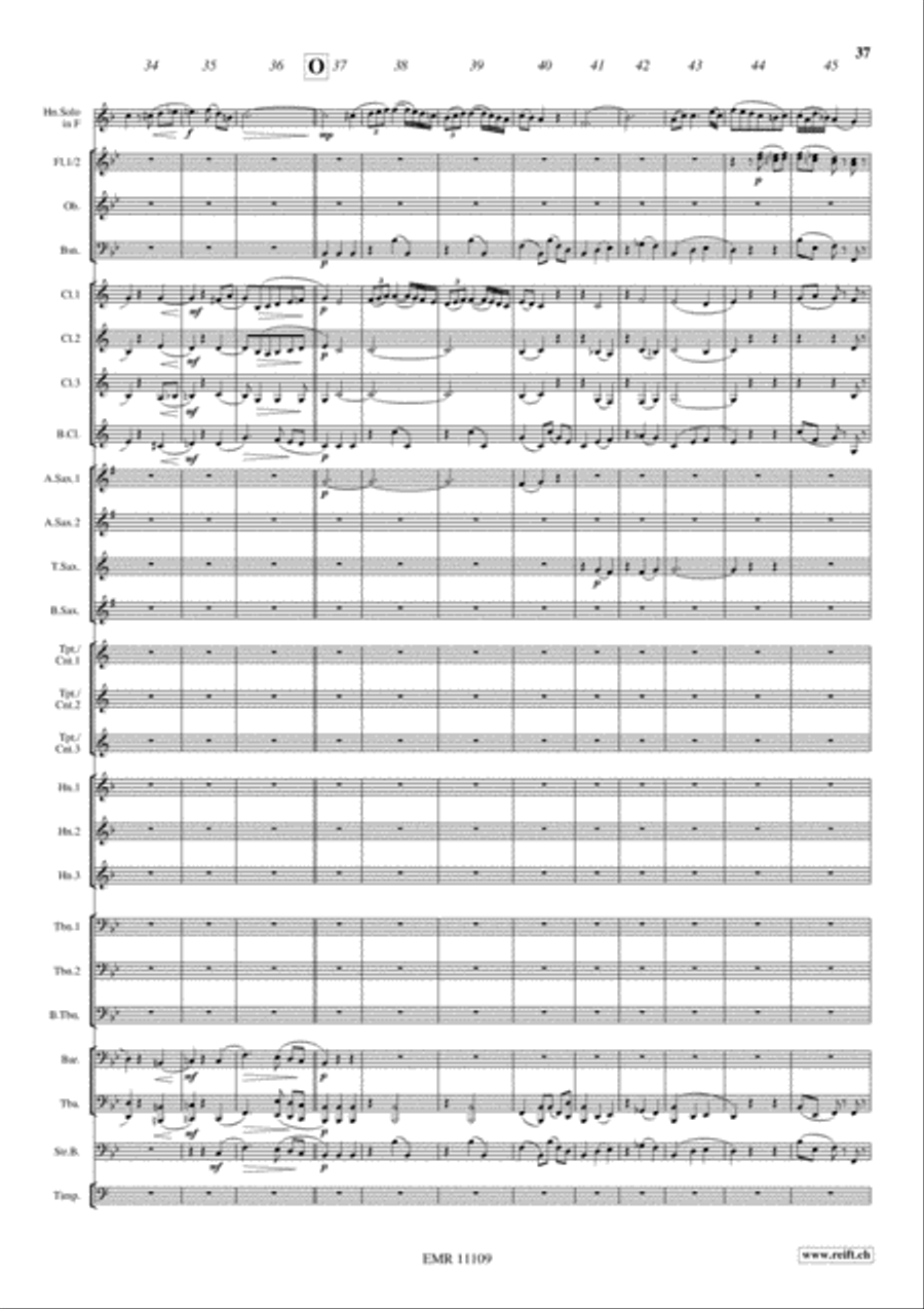 Horn Concerto No. 4 Concert Band scores gallery preview page 13