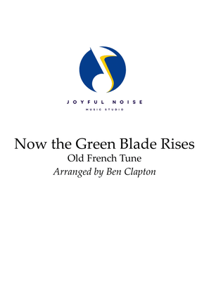 Book cover for Now the Green Blade Rises