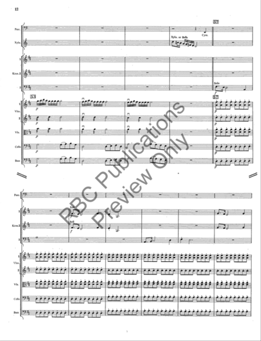 Concerto Gross Orchestra Full Orchestra scores gallery preview page 13