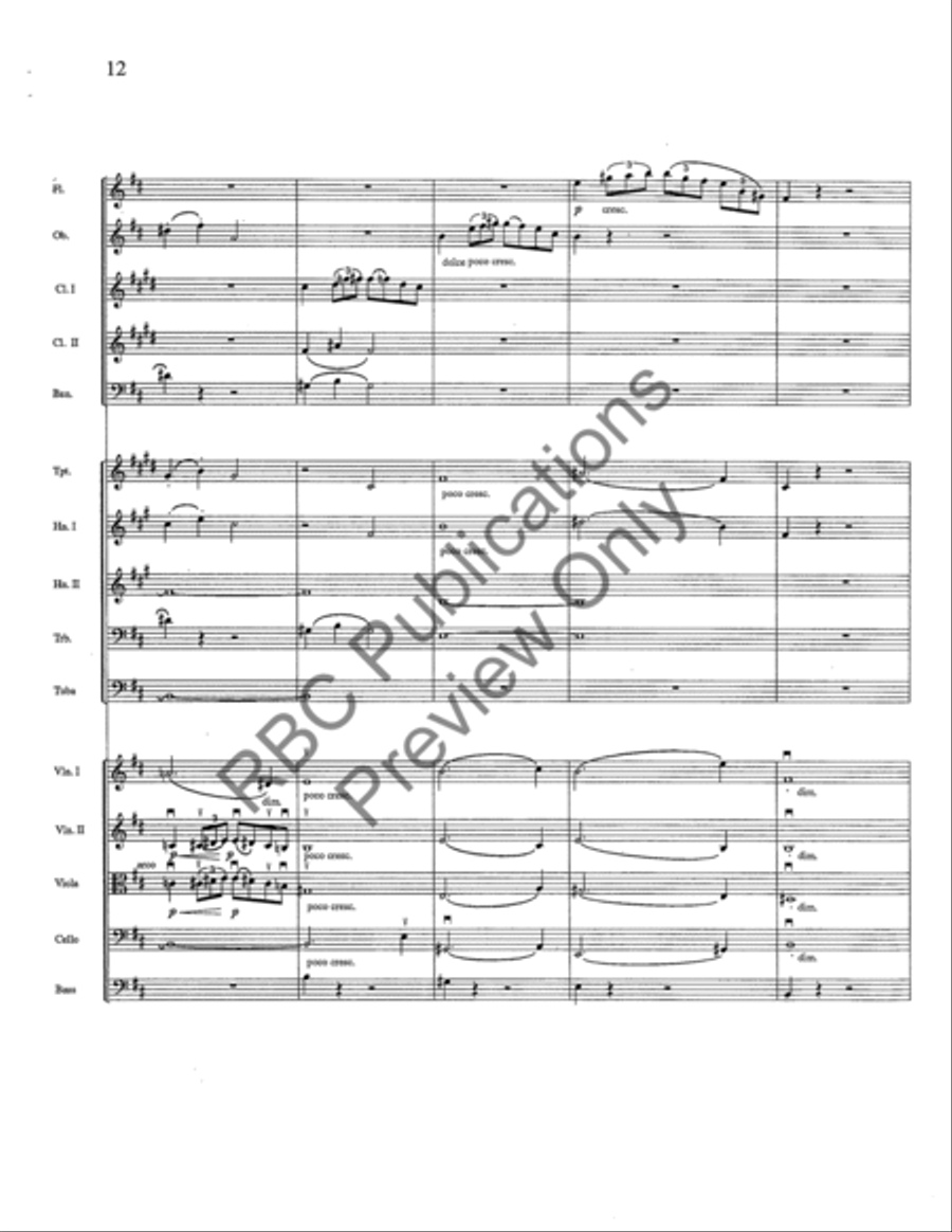 Siegfried Idyll Full Orchestra scores gallery preview page 13