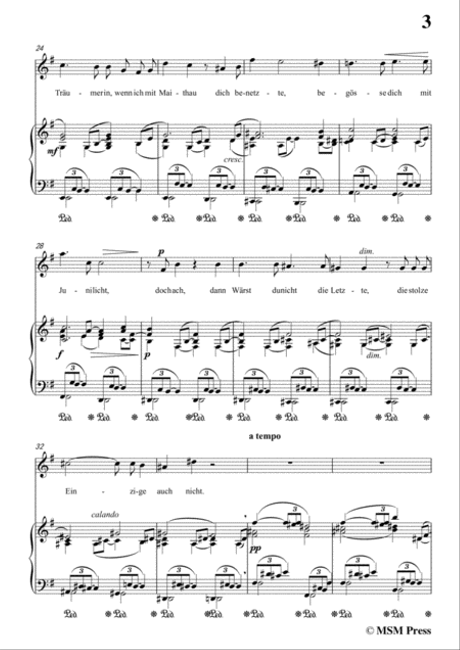 Richard Strauss-Die Georgine in e minor,for Voice and Piano Voice Solo scores gallery preview page 5