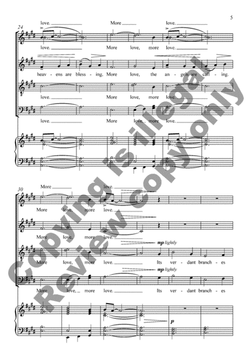 More Love from Songs for the Journey (Organ/Choral Score) image number null