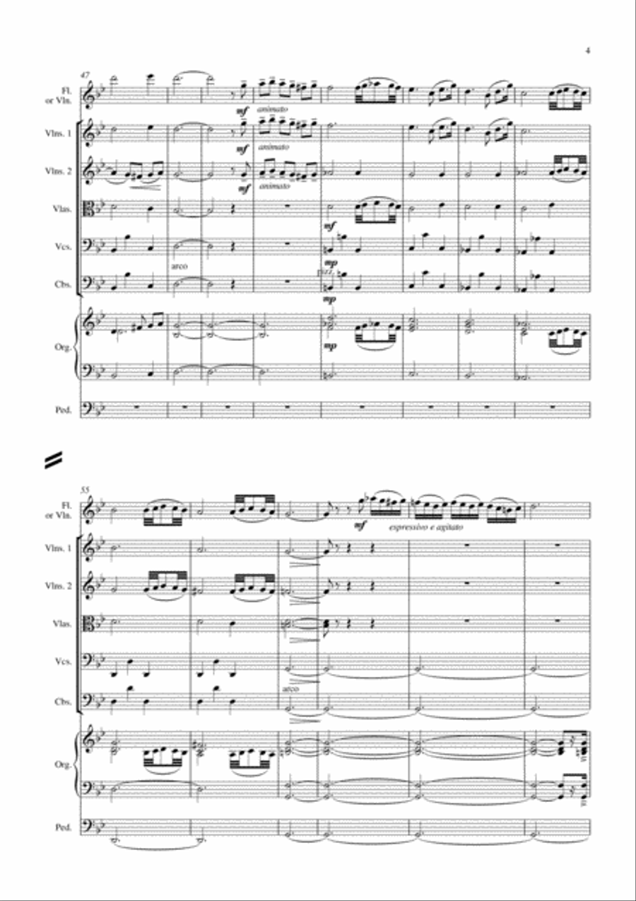 Adagio in g minor for flute, strings and organ String Orchestra scores gallery preview page 6