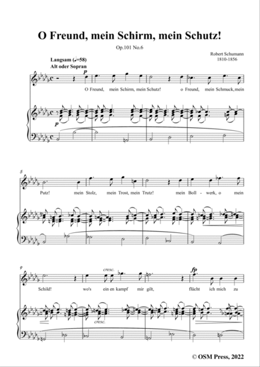 Schumann-O Freund,mein Schirm,mein Schutz!Op.101 No.6,in b flat minor Voice scores gallery preview page 3