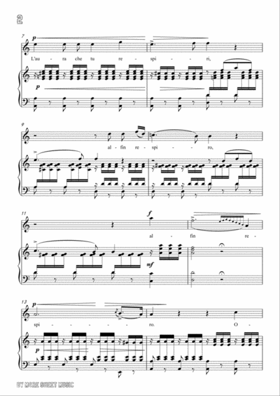 Gluck-O del mio dolce ardor in a minor,for Voice and Piano Voice Solo scores gallery preview page 4