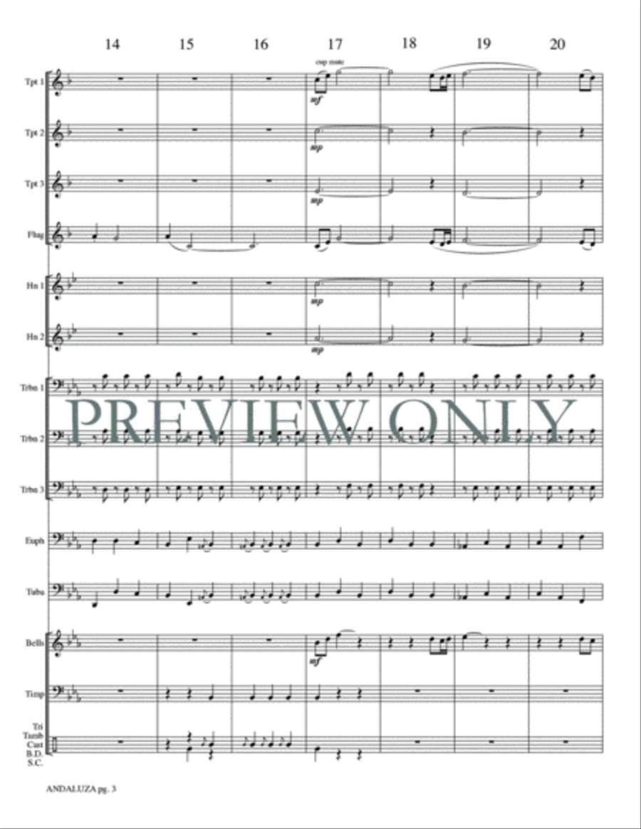 Andaluza Small Ensemble scores gallery preview page 5