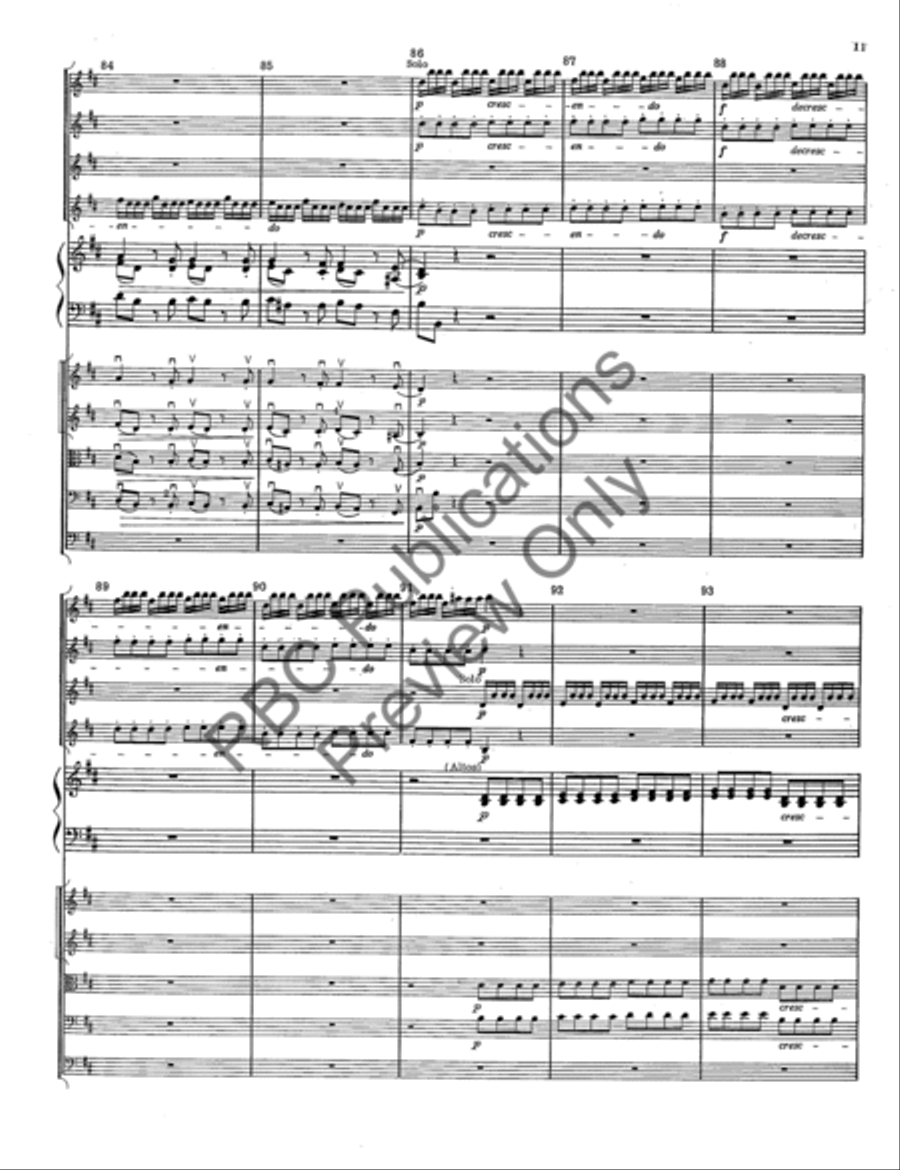 Concerto In B Minor String Orchestra scores gallery preview page 14