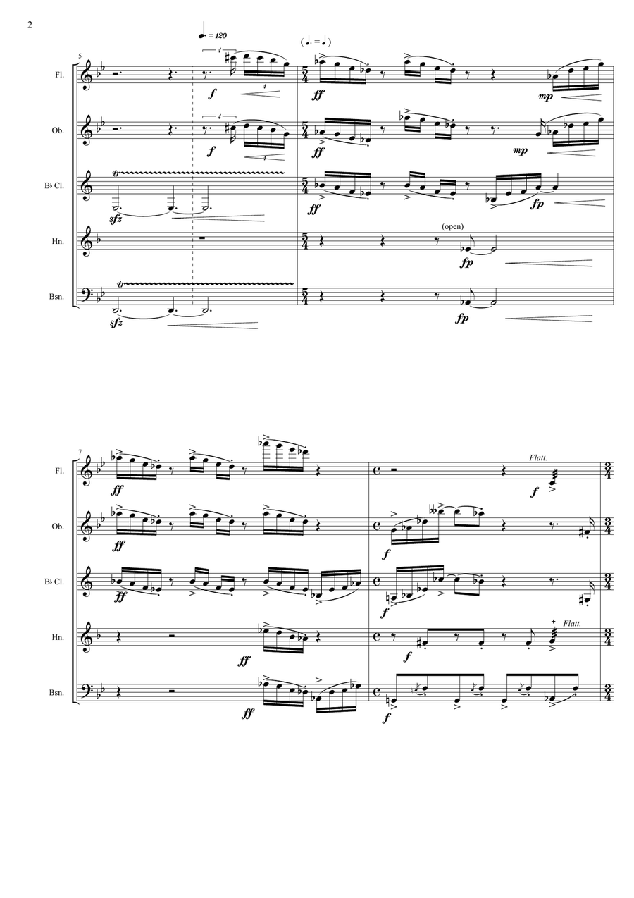 Arachnophobia, for wind quintet - score Woodwind Quintet scores gallery preview page 2