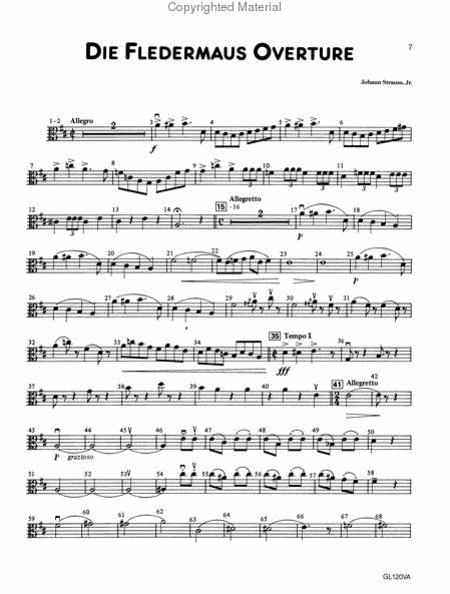 A Night At The Symphony - Viola
