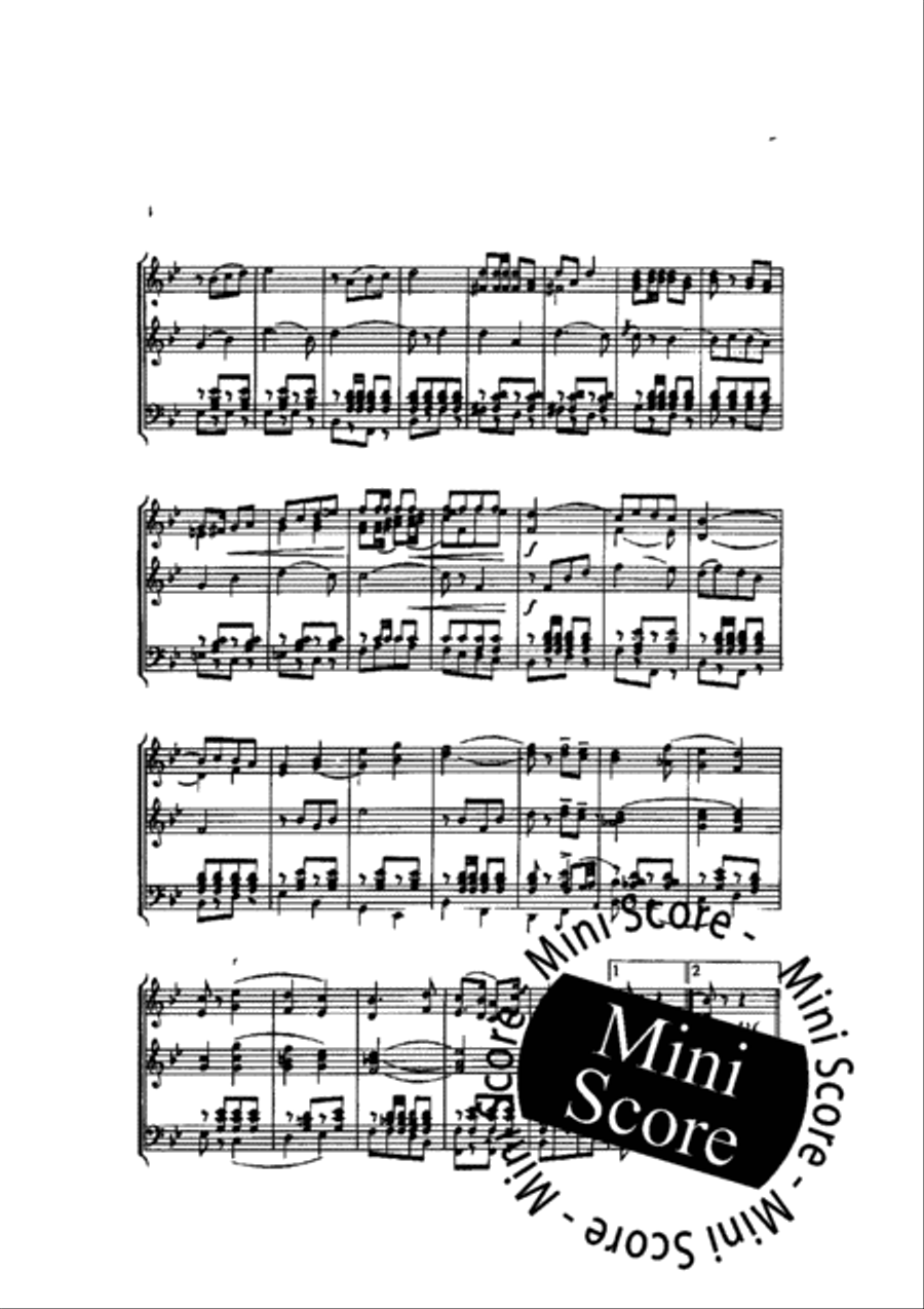 De Optimisten De Optimisten Concert Band scores gallery preview page 7
