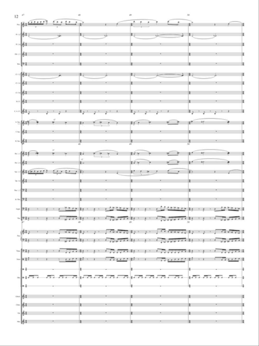 Windrider Concert Band - Sheet Music page 13