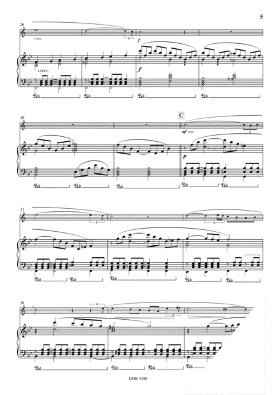 Ave Maria Euphonium scores gallery preview page 5