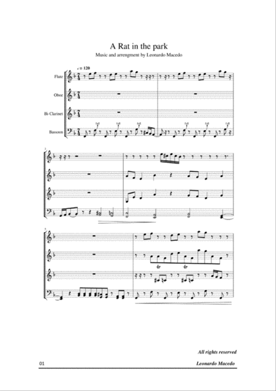 A Rat in the park - Leonardo Macedo Woodwind Quartet scores gallery preview page 1