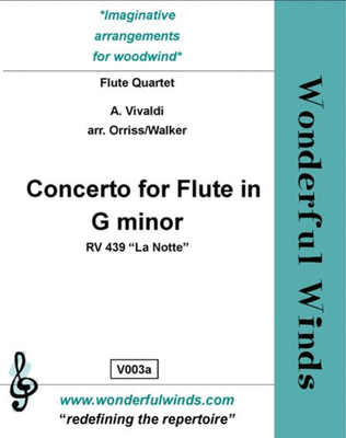 Book cover for Concerto For Flute In G Minor