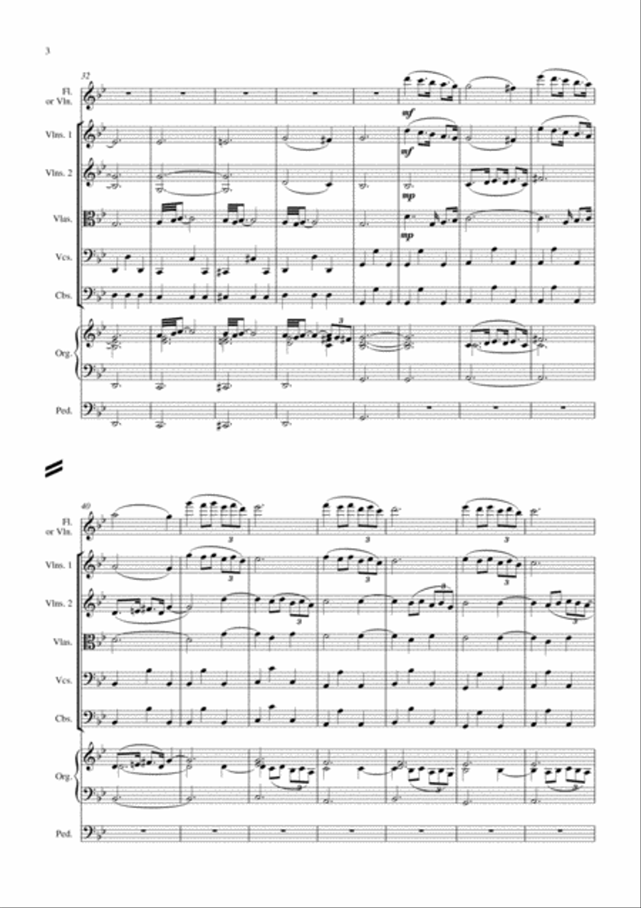 Adagio in g minor for flute, strings and organ String Orchestra scores gallery preview page 5