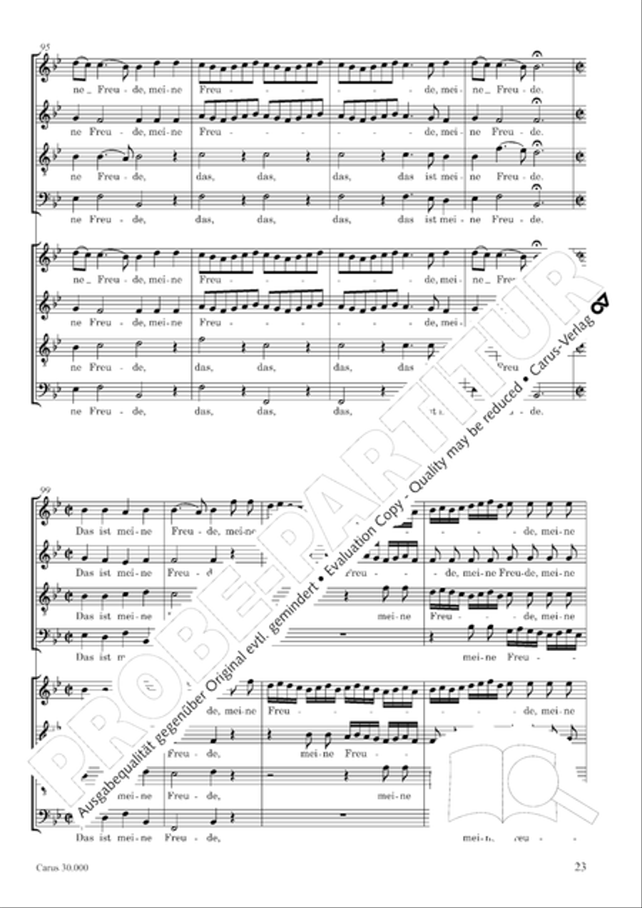 J.L. Bach: The complete motets Choir scores gallery preview page 30