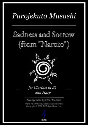 Sadness And Sorrow