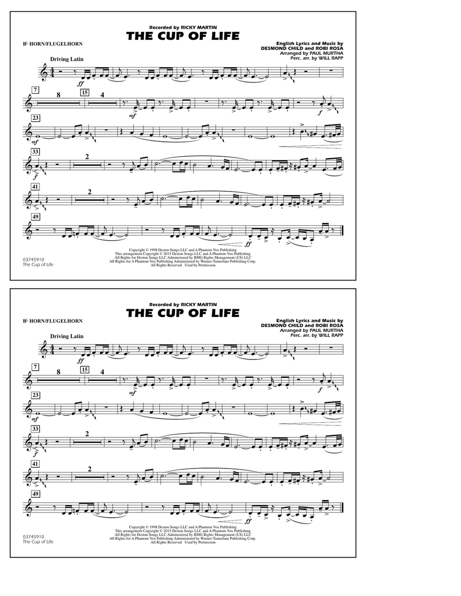 The Cup of Life - Bb Horn/Flugelhorn Marching Band scores gallery preview page 1