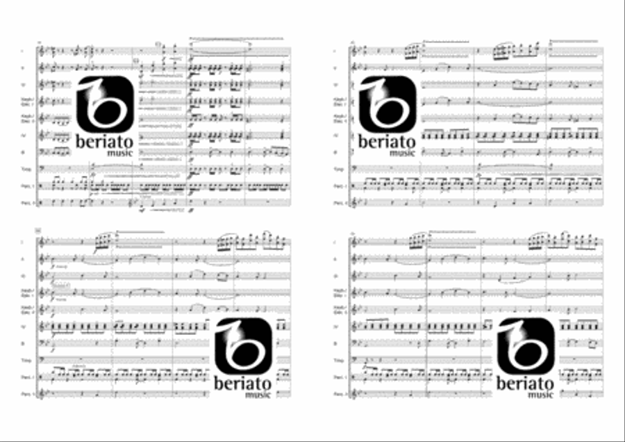 Rhapsodia Accordion Orchestra scores gallery preview page 5