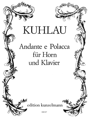 Book cover for Andante e polacca