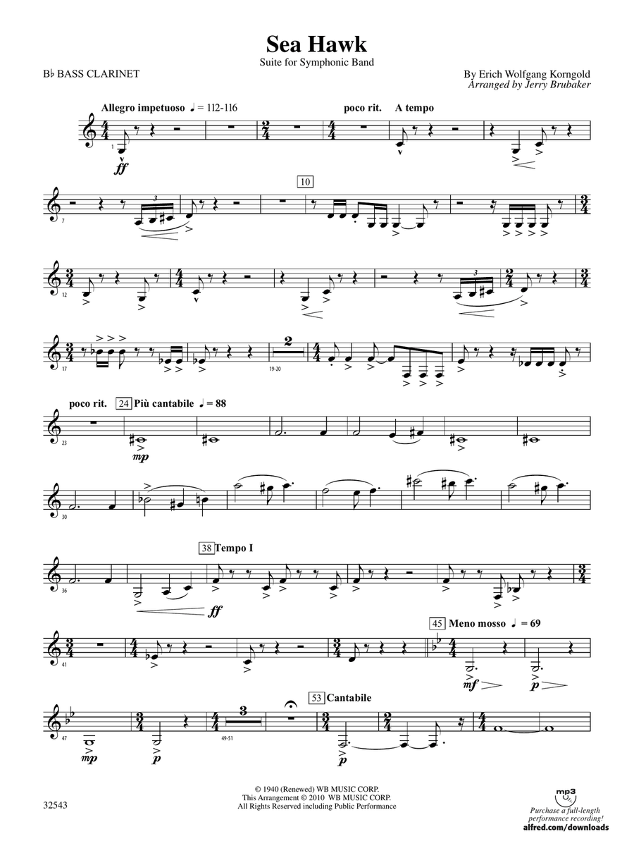 Sea Hawk: B-flat Bass Clarinet