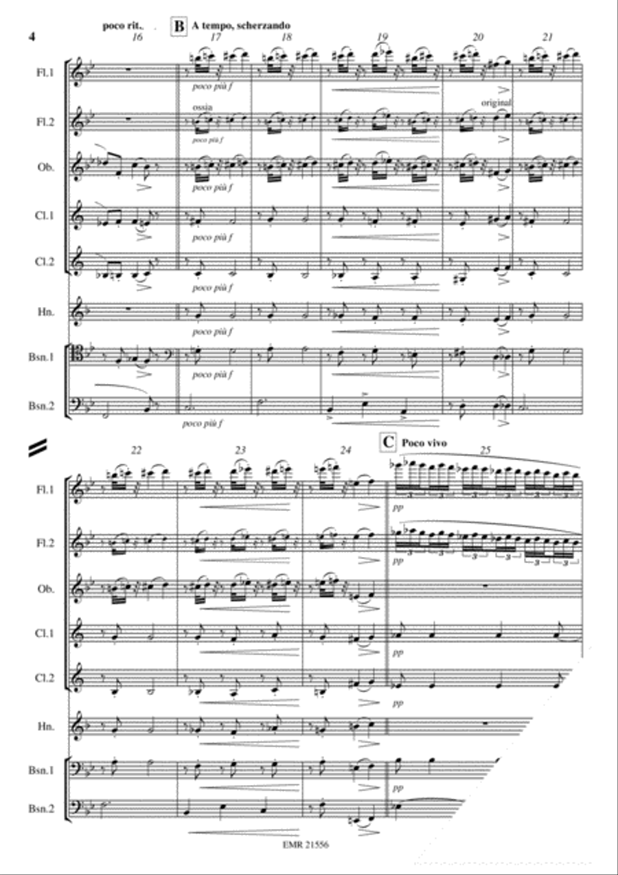 Premiere Suite Premiere Suite Bassoon scores gallery preview page 4