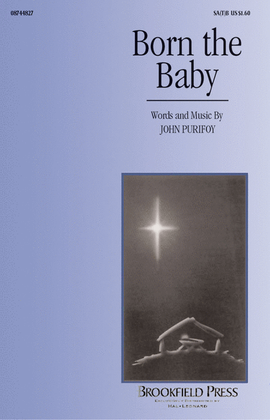Book cover for Born the Baby