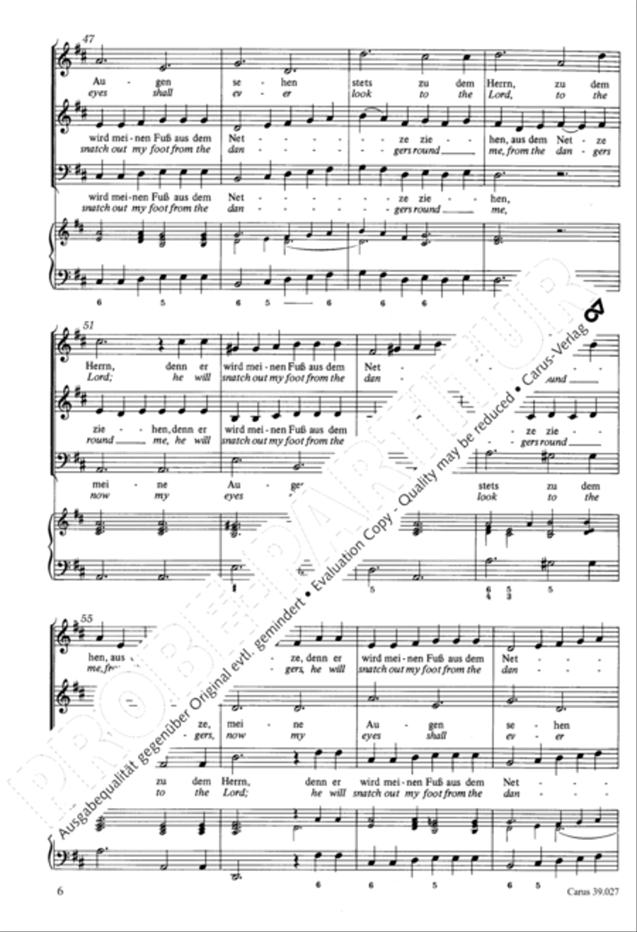 Now my eyes shall ever look to the Lord (Meine Augen sehen stets zu dem Herrn) SA scores gallery preview page 7