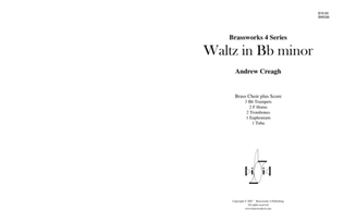 Book cover for Waltz in Bb minor