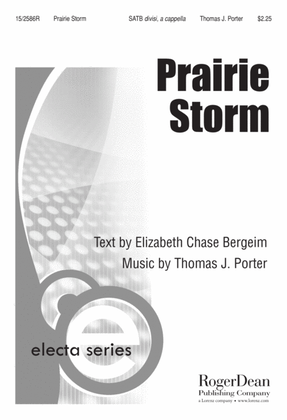 Book cover for Prairie Storm
