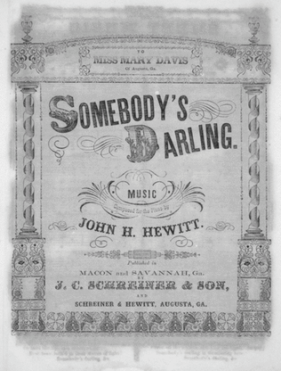 Book cover for Somebody's Darling
