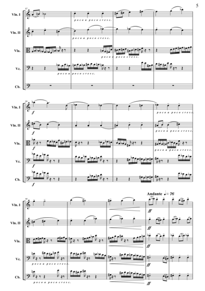 Symphony for Strings (Score)