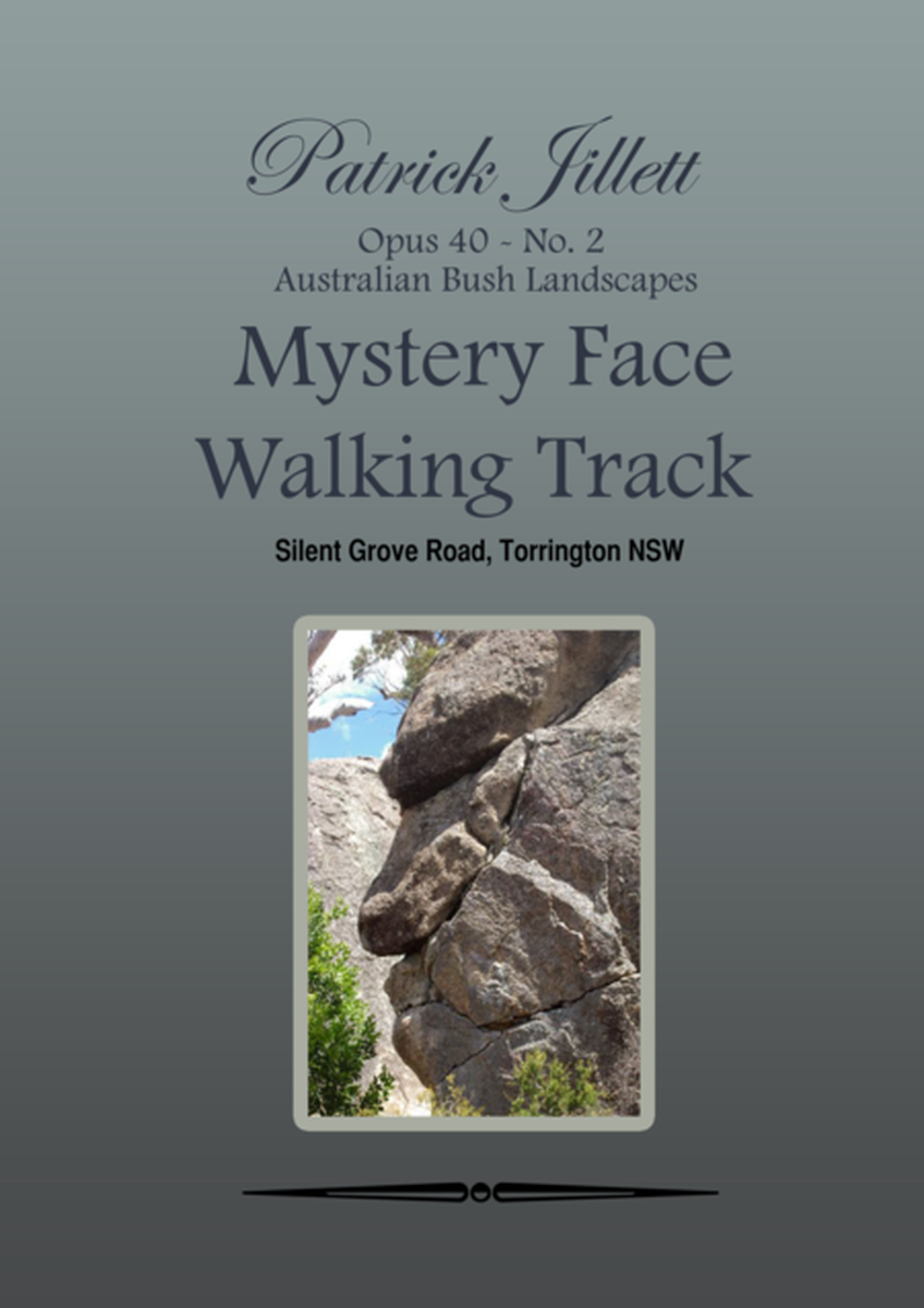 Mystery Face Walking track - Australian Bush Landscapes image number null