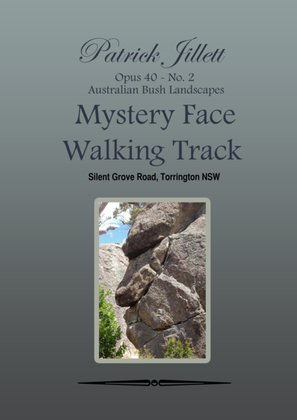 Mystery Face Walking track - Australian Bush Landscapes